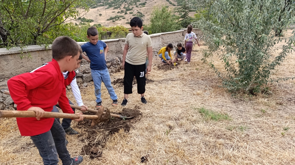 HER ÇOCUK BİR FİDAN İLK DERS YEŞİL VATAN